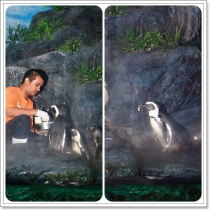 สงกรานต์ ไปดูนางเงือก Siam Ocean World