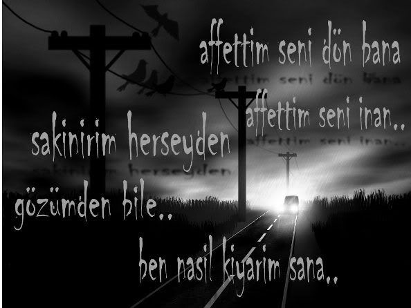 affettimseni9qc.jpg