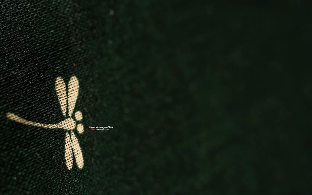 The_Dragonfly_that_Could_1_by_kz.jpg