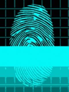 fingerprintcheckza8.jpg