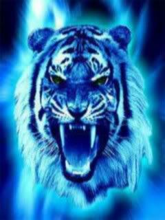 tigerax6.jpg