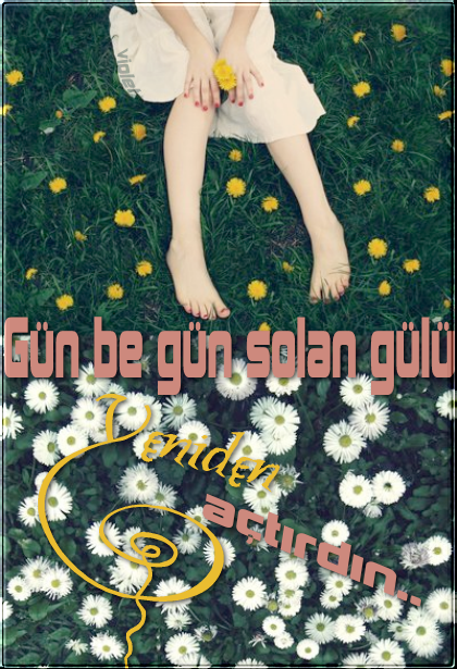 gg5wu6.png