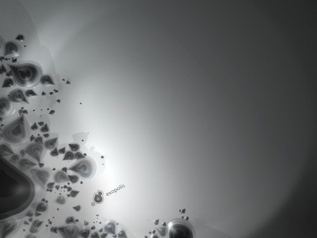 584.jpg