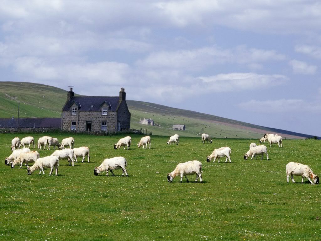 GrampianFarmNearRhynieScotland.jpg