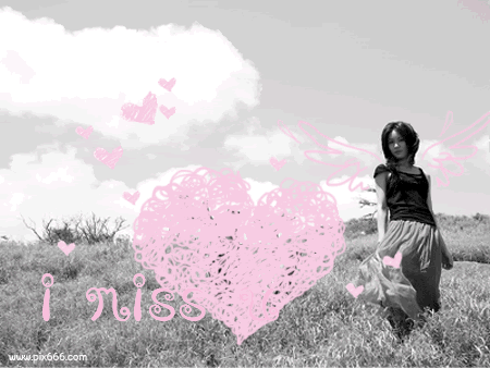 013.gif