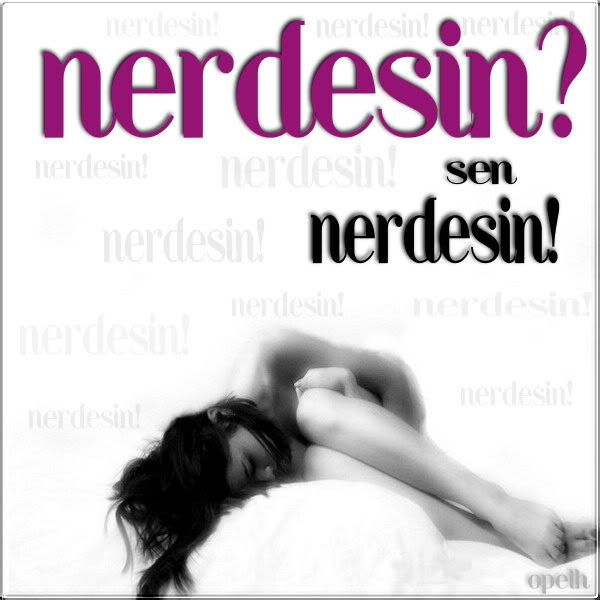 nerdesinul3.jpg