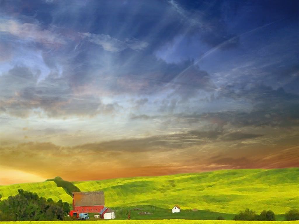Last_unplucked_gem_1152x864.jpg