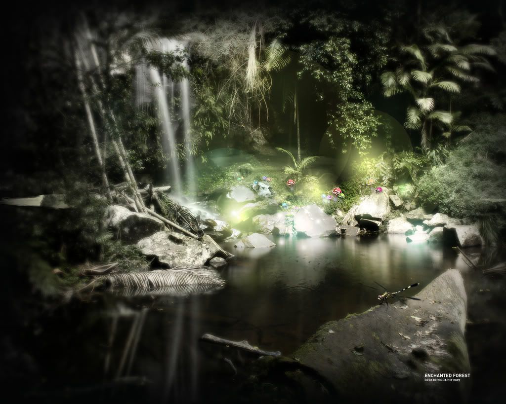 enchantedforest_1280x1024.jpg