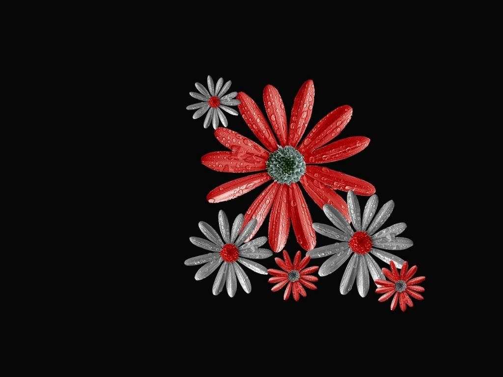 1197560006.jpg