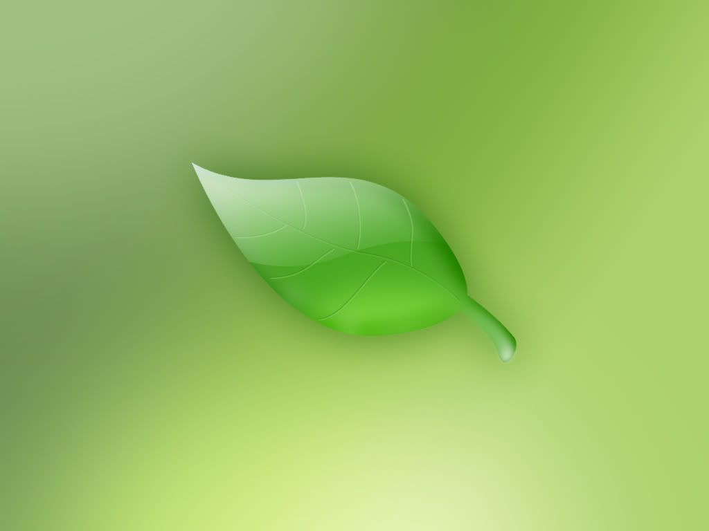 1203431916.jpg