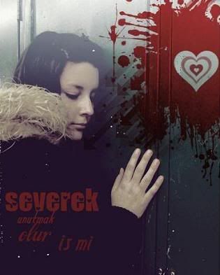 severekok2.jpg