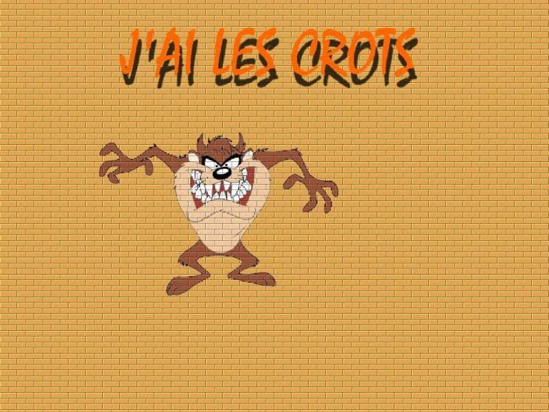 TAZ_ENERVE.jpg