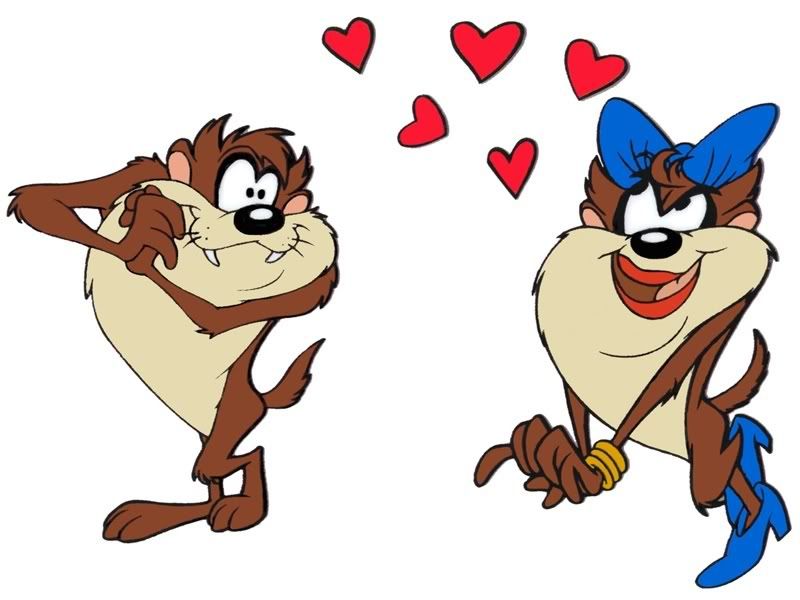 taz_02.jpg