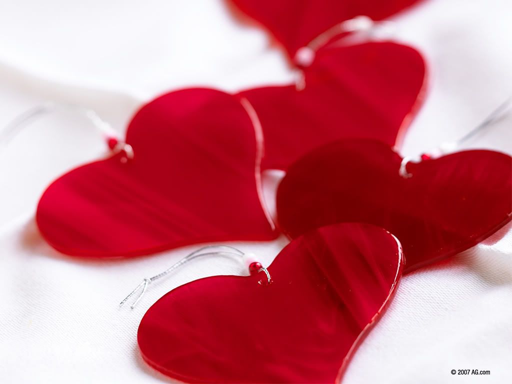 3118299_1024x768.jpg