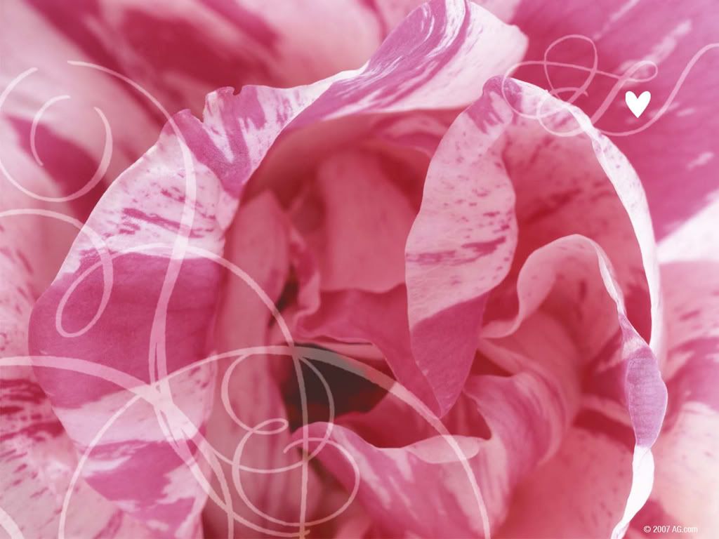 3130681_1024x768.jpg