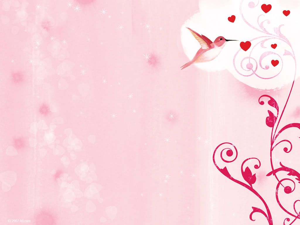 3130683_1024x768.jpg