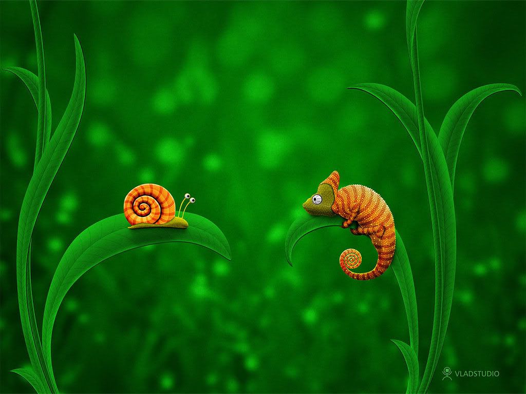 vladstudio_snail_and_chameleon_1152.jpg
