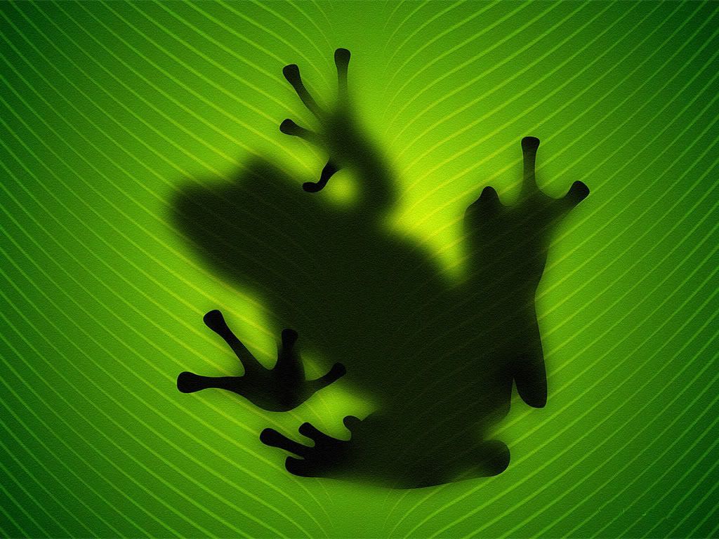 vladstudio_frog_1152x864.jpg