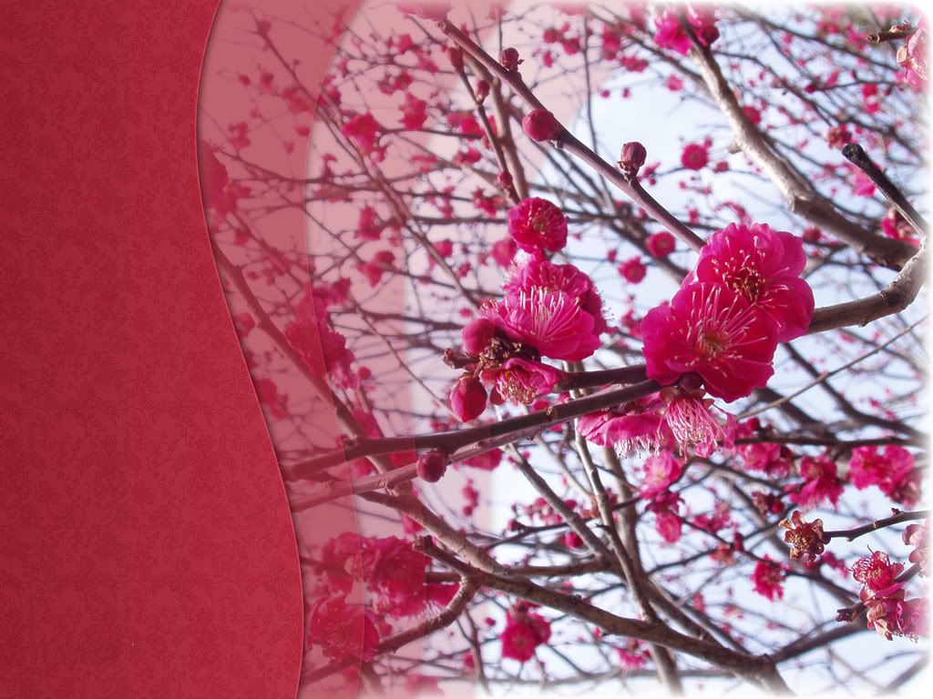 vladstudio_springinjapan2_1152x864.jpg