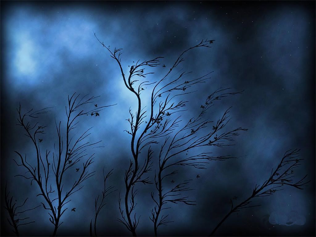 vladstudio_storm_1152x864.jpg