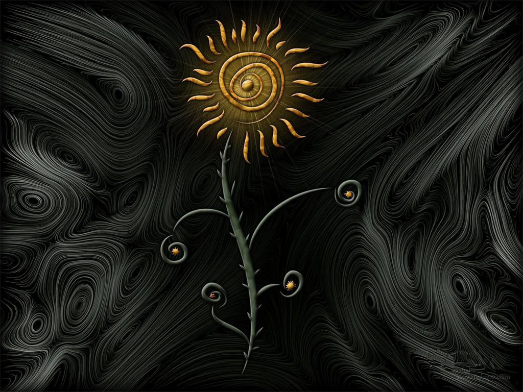 vladstudio_sunflower_1152x864.jpg