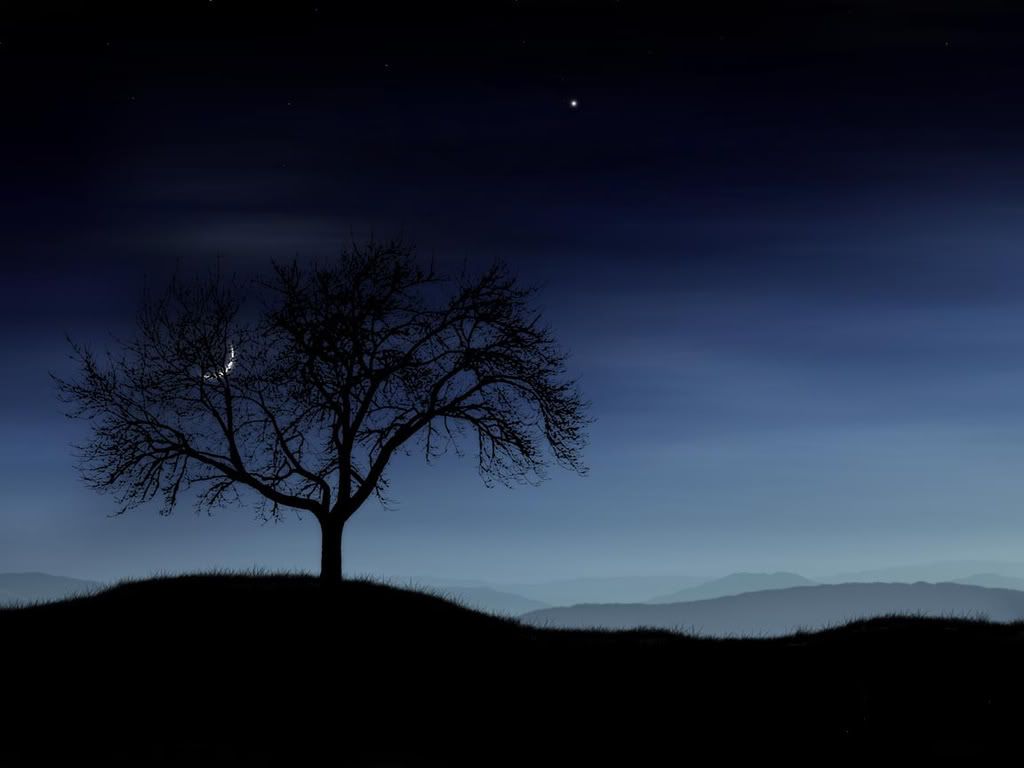 vladstudio_tree_and_moon_1152x864.jpg