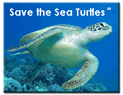 Savetheseaturtles.gif Save the Sea Turtles image by j_lily