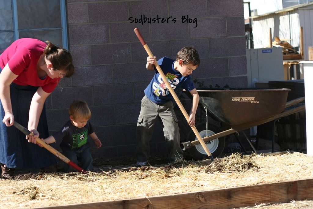 The Heart of a Sodbuster Life with the Sodbusters