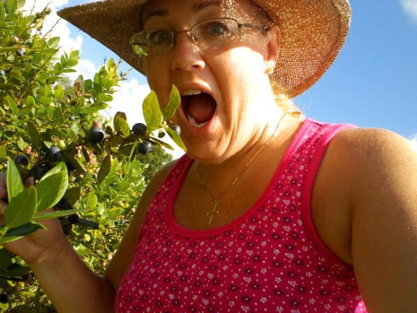  photo DSC00151PickingBlueberries.jpg