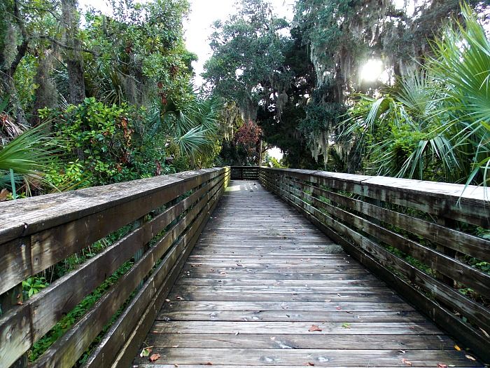  photo 2014-08-12070741Boardwalk.jpg