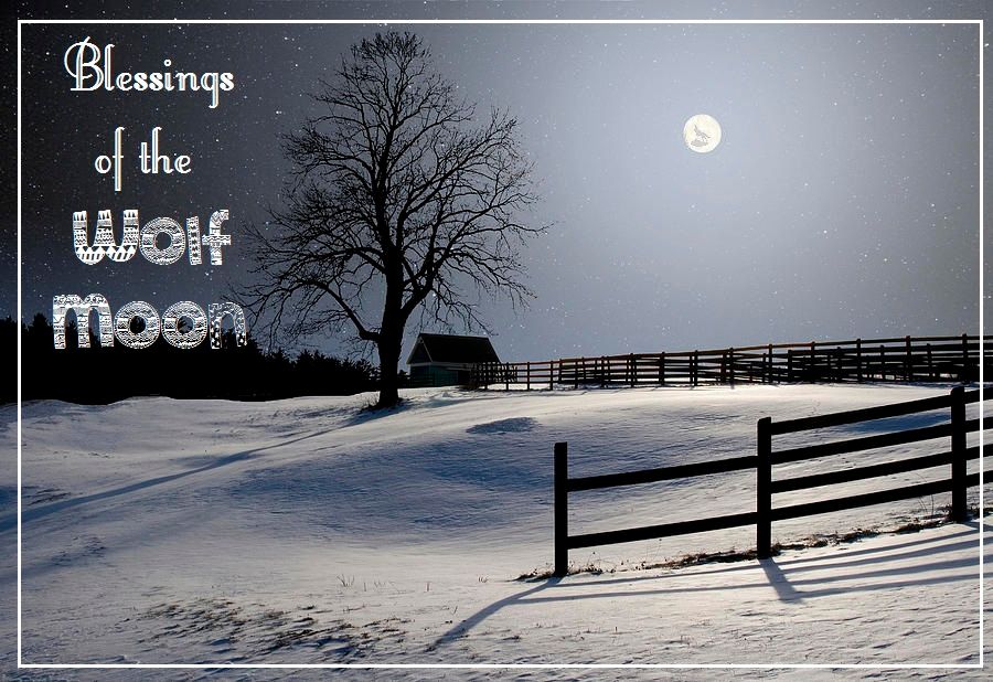 photo winter-full-moon-larry-landolfi_zpsnvekl1o4.jpg