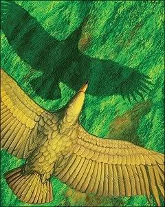 Ilmuwan menemukan misteri terbang burung raksasa prasejarah di Argentina