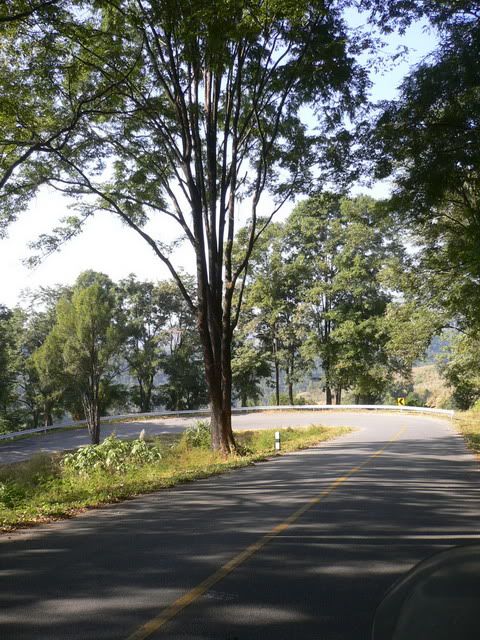 P1160776_resize.jpg