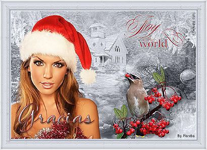 navidad61.jpg picture by METHA1006