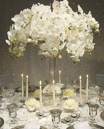 orchidcenterpieces.jpg picture by tbsm0616