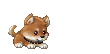 th_dog.gif