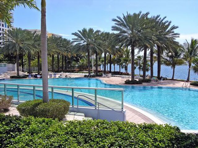 flamingo_miami_beach_pool.jpg picture by soledad_038