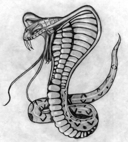  called " The Cobra's" for the very same reason, they each had a tattoo 