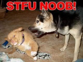stfu noob !! Pictures, Images and Photos