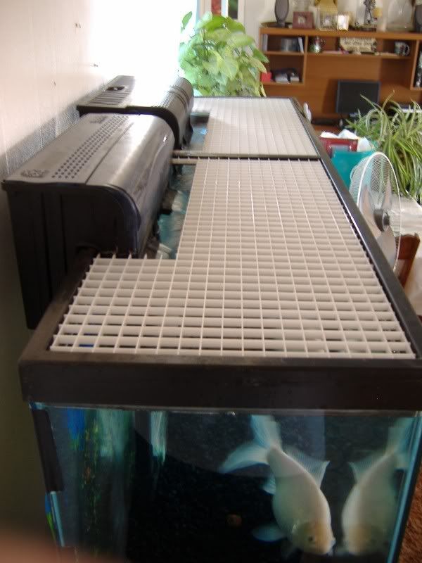 View topic Egg crate for top of tank