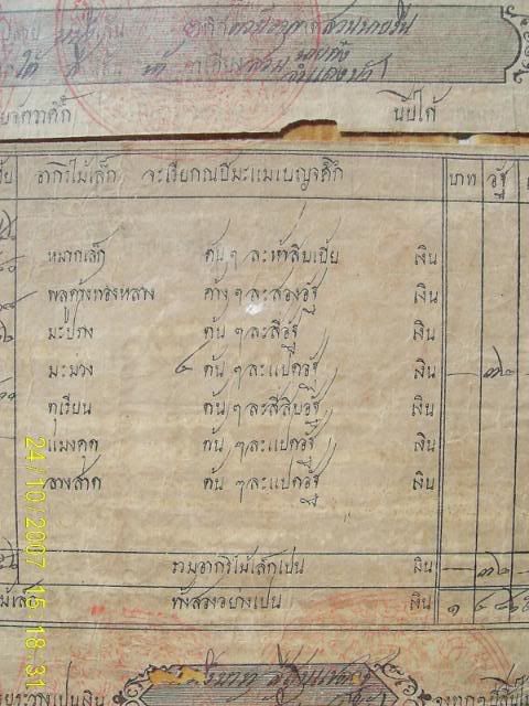 รูปภาพ