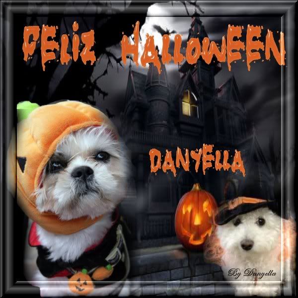 PERROHALLOWEEnjpg-DAN.jpg picture by Danyella_ve_2007