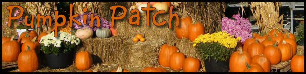 Pumpkin Patch Pictures, Images and Photos