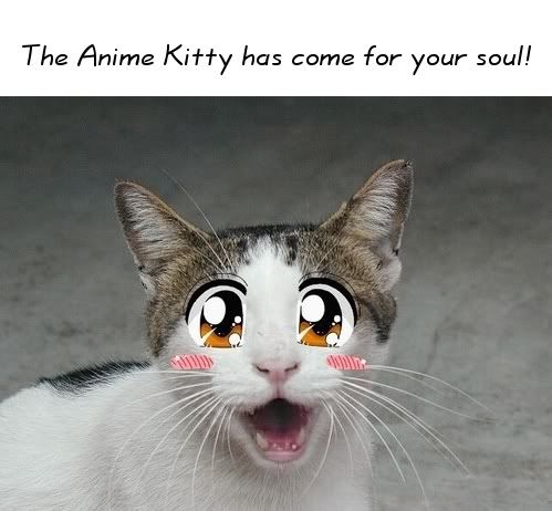 cat anime