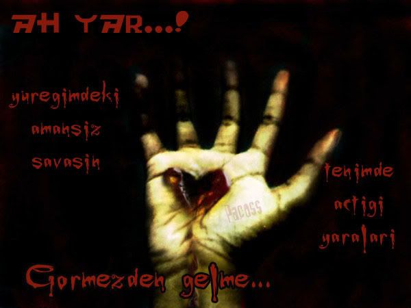 14943191kb9.jpg