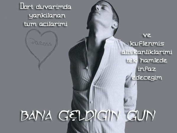 15668319ud7.jpg