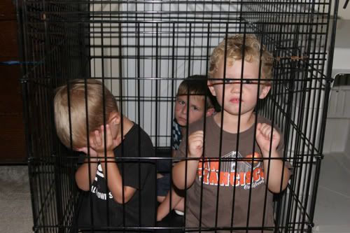 prison photo: prison prison.jpg
