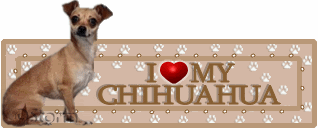 CHIH.gif chihuahua image by lovlee2u