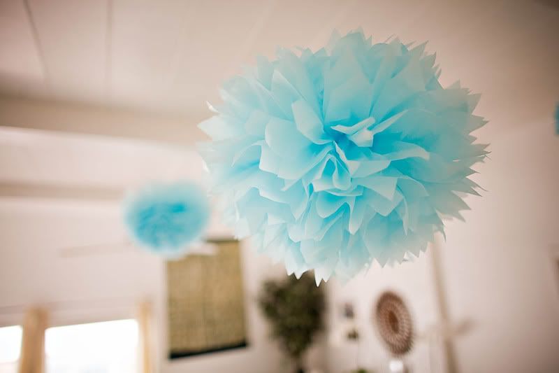 cuvier-park-wedding