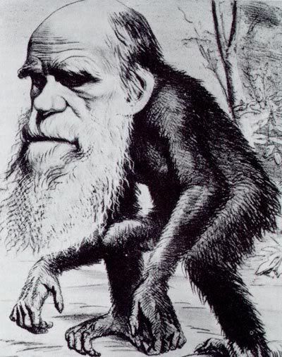 Charles Darwin come primate